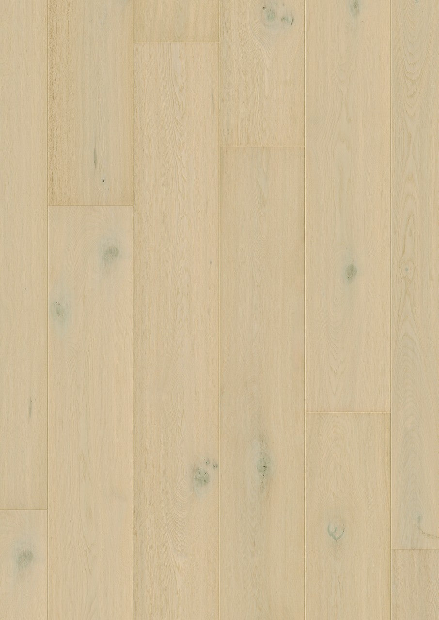 Quick-Step Parquet Prefinito Cala – Rovere della tundra extra opaco  CAL7445| 13x2200×220 mm