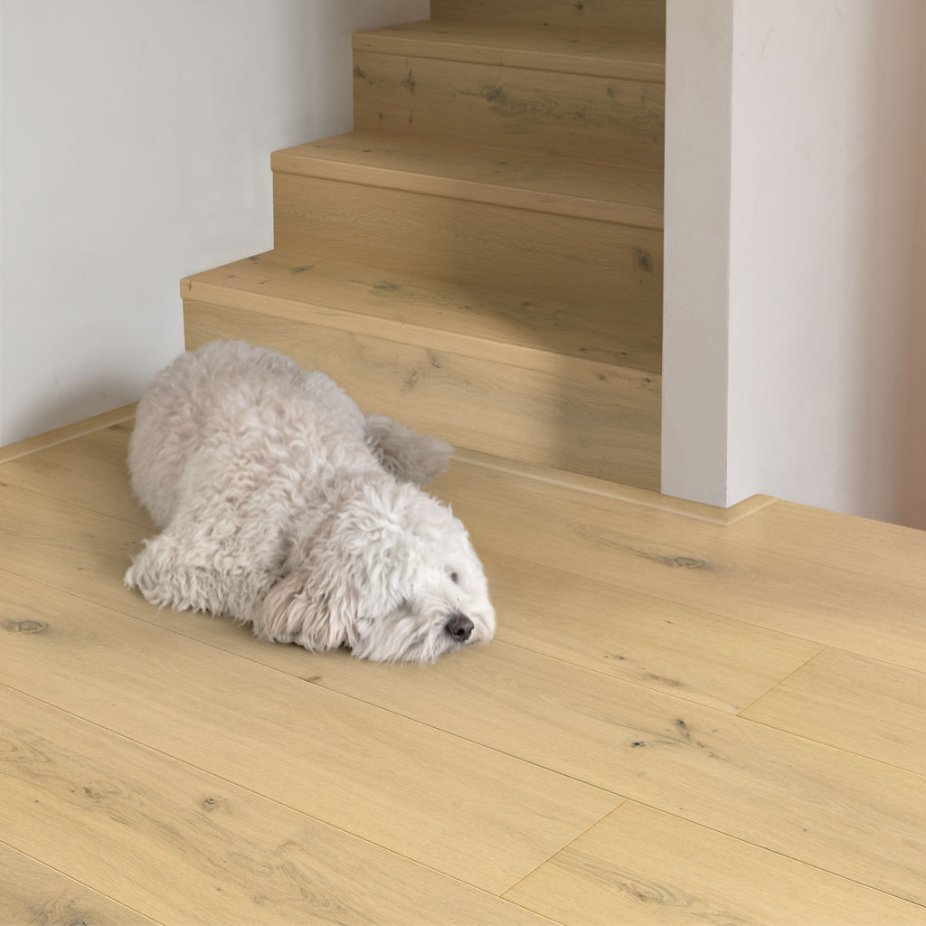 Quick-Step Parquet Prefinito Cala – Rovere bianco perla opaco  CAL7448| 13x2200×220 mm